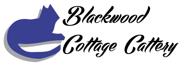 Blackwood Cottage Cattery